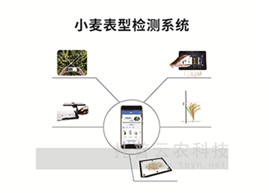 TPM-BX-1小麥表型檢測儀系統(tǒng)