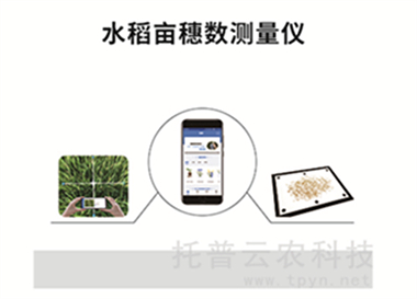 水稻畝穗數測量儀-水稻畝穗數測量系統