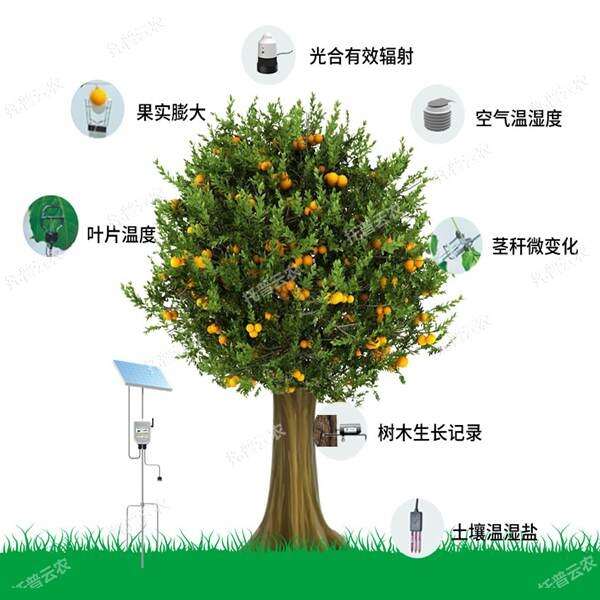 TP-ZWSL系列植物生理生態(tài)監(jiān)測(cè)系統(tǒng)