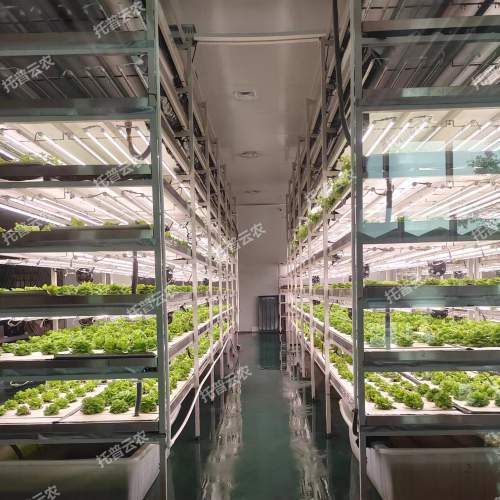 植物組培室-組培實驗室