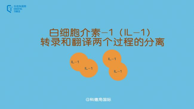 ׼-1IL-1D䛺ͷgɂ^̵ķx