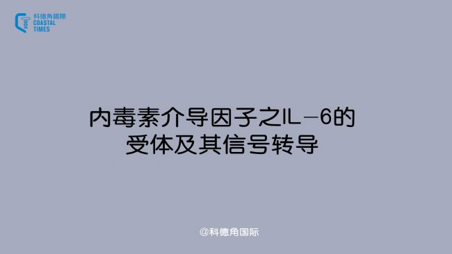 ȶؽ錧֮IL-6w̖D