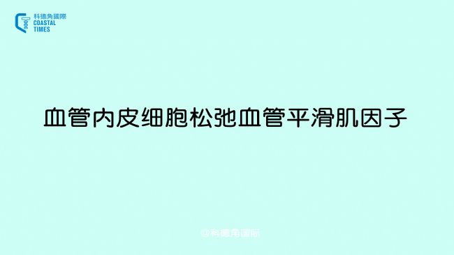 血管內皮細胞松弛血管平滑肌因子