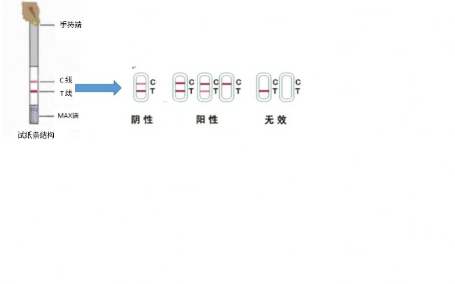 o(w)(bio)}1