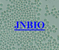 ĸǰ